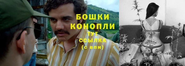 прущая мука Инта