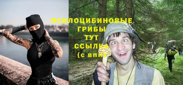 гашик Инсар