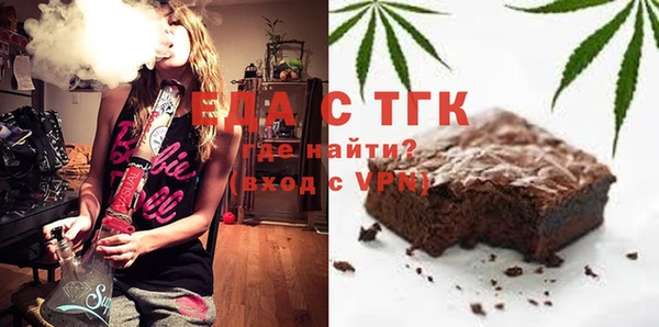 гашик Инсар