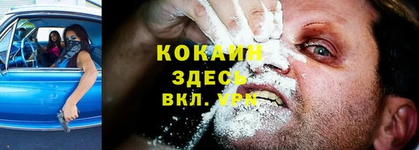 прущая мука Инта