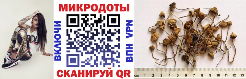 Галлюциногенные грибы Magic Shrooms Богучар