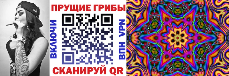 Псилоцибиновые грибы GOLDEN TEACHER  Купить где  Богучар 